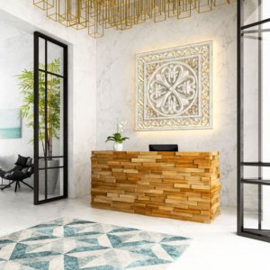 Aliquam hendrerit sollicitudin purus